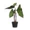 Hello Honey® 24" Potted Round Faux Elephant Ear Plant